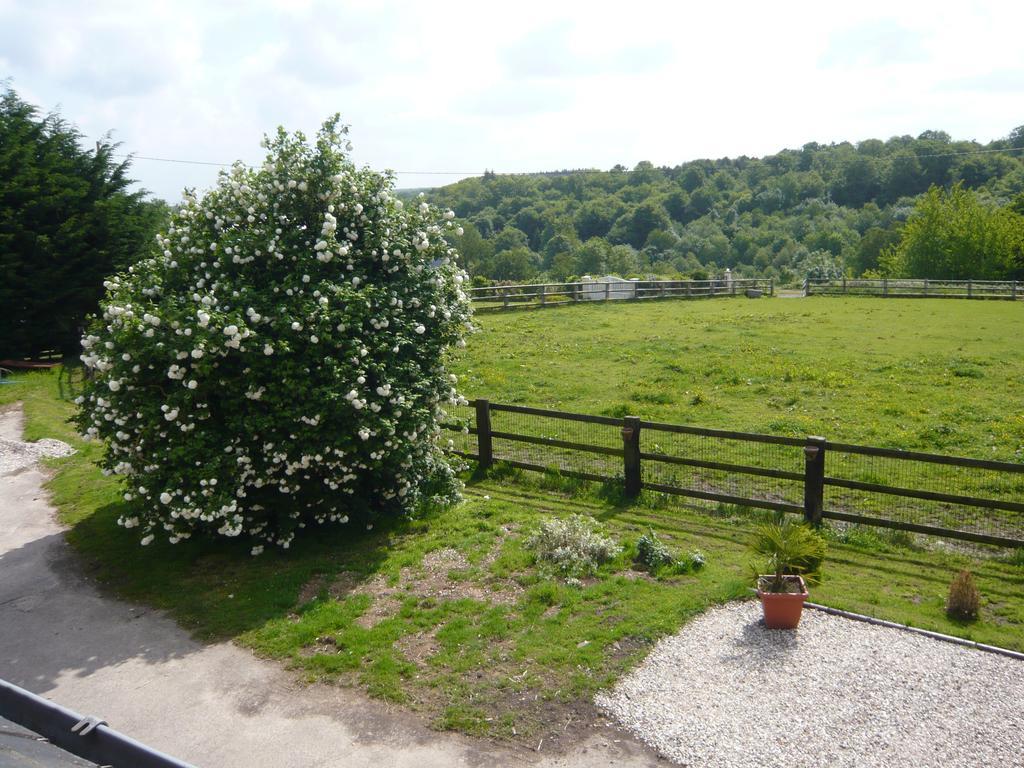 Bed & Breakfast De La Griserie Genneville